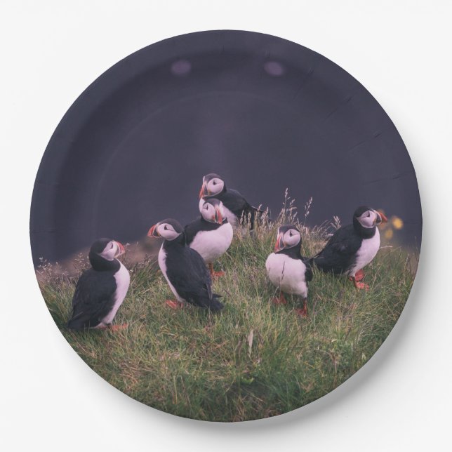 Atlantic Puffins Paper Plate (Front)