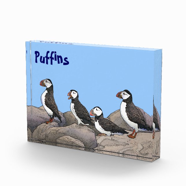Atlantic Puffins Photo Block (Right)