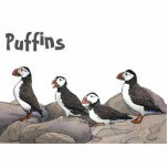 Atlantic Puffins Photo Sculpture Magnet<br><div class="desc">Puffins at rest on the rocks. Customisable text reading, "Puffins" also appears. The Atlantic Puffin (Fratercula arctica) feeds primarily by diving in the water. They breed in large colonies on coastal cliffs or offshore islands in the North Atlantic. Puffins shed the colourful outer parts of their bills after the breeding...</div>