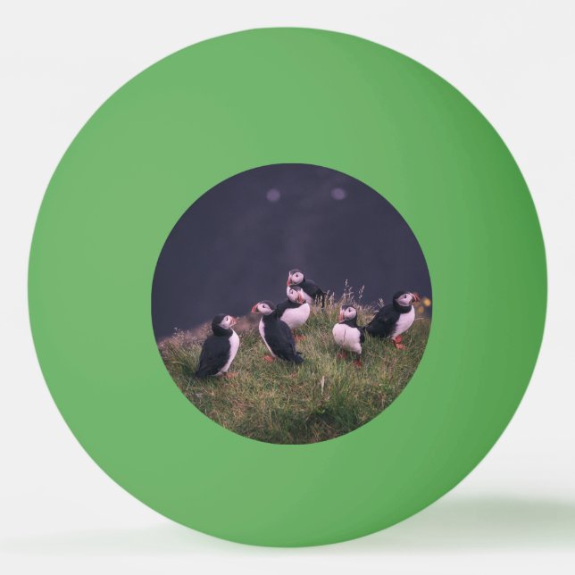 Atlantic Puffins Ping Pong Ball (Front)