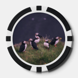 Atlantic Puffins Poker Chips