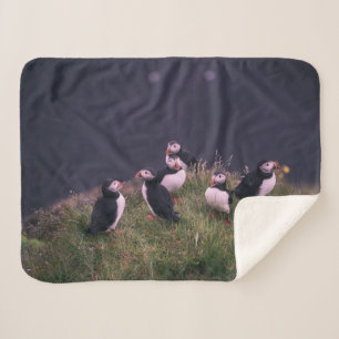 Atlantic Puffins Sherpa Blanket