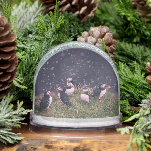 Atlantic Puffins Snowglobe