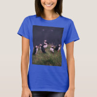 Atlantic Puffins