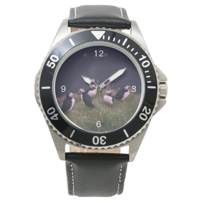 Atlantic Puffins Watch (Front)