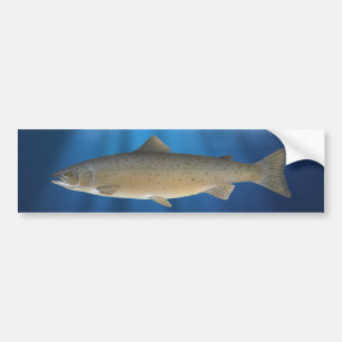 Fishing Bumper Stickers & Car Stickers | Zazzle UK