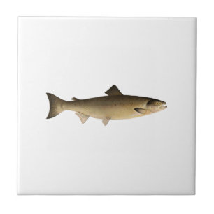 Atlantic Salmon Tile