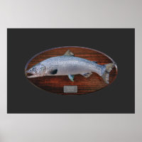 Atlantic Salmon Trophy Display Plaque