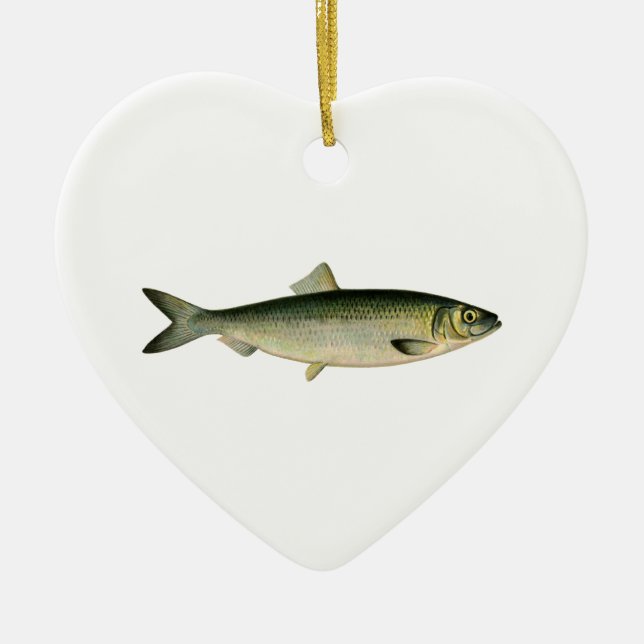 Atlantic Sea Herring Ceramic Tree Decoration (Front)