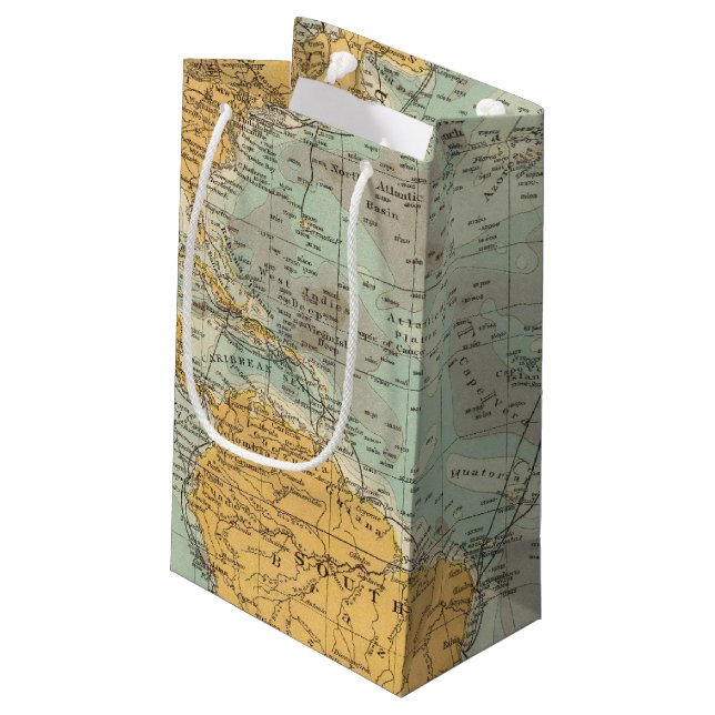 Atlantic Small Gift Bag (Back Angled)