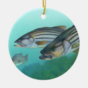 Atlantic Striped Bass Fish Morone Saxatilis Ceramic Tree Decoration