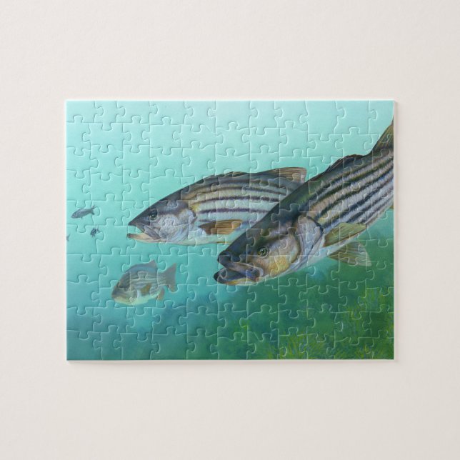 Atlantic Striped Bass Fish Morone Saxatilis Jigsaw Puzzle (Horizontal)