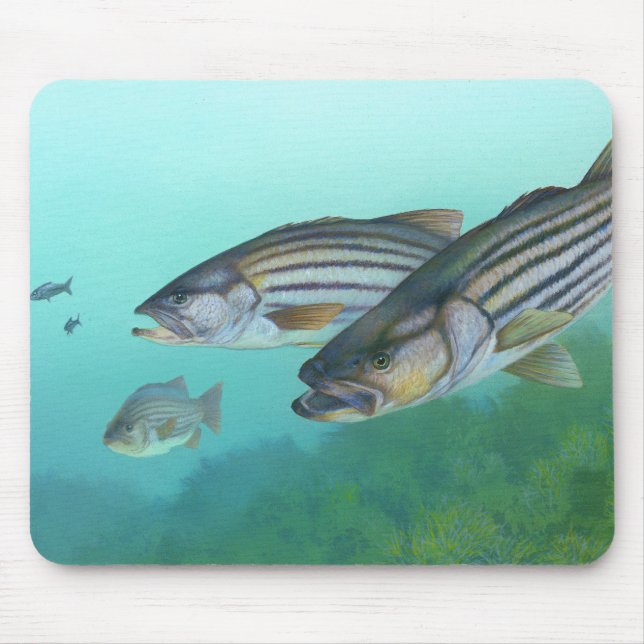 Atlantic Striped Bass Fish Morone Saxatilis Mouse Mat (Front)