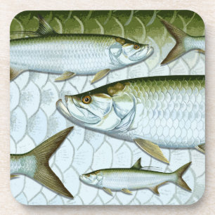 Atlantic Tarpon Coasters