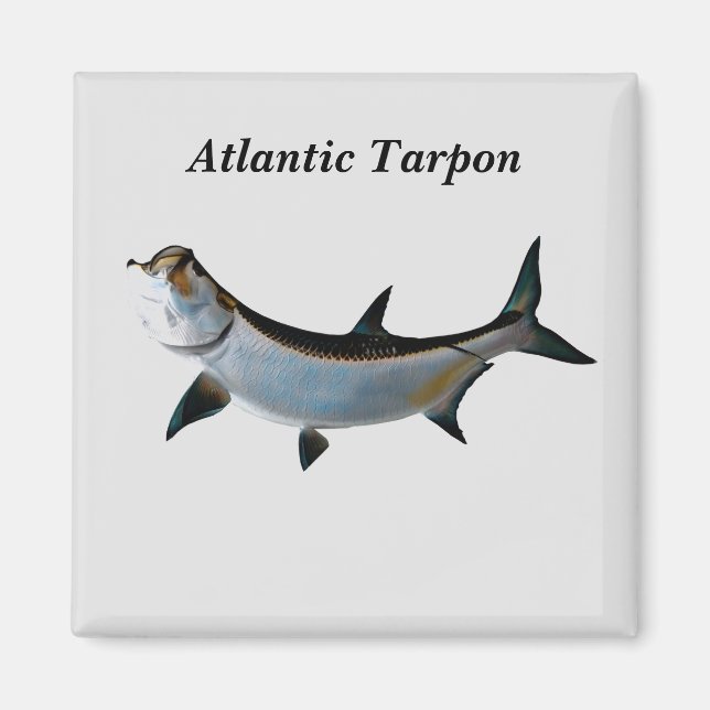 Atlantic Tarpon Magnet (Front)