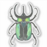 Atlas Beetle Love Bug<br><div class="desc">Atlas beetle love bug sticker!</div>