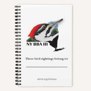 Atlas field notebook