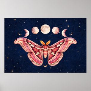 Atlas Moth Celestial Moon Phase   Boho Lunar Art Poster