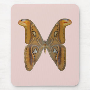 Atlas Moth Mouse Mat