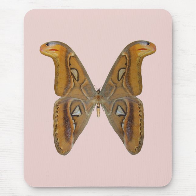 Atlas Moth Mouse Mat (Front)