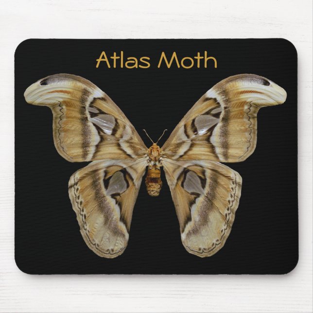 Atlas Moth Mousepad (Front)