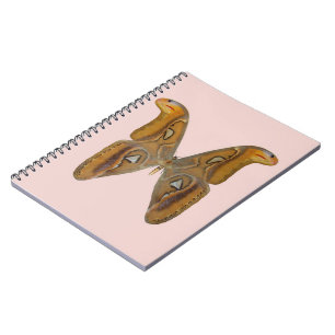 Atlas Moth Notebook