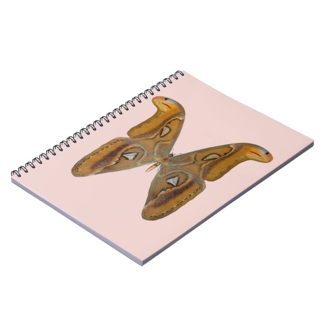 Atlas Moth Notebook (Left Side)