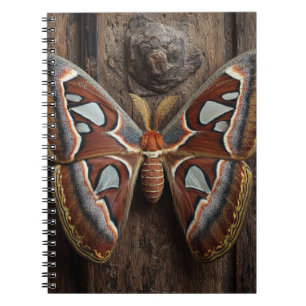 Atlas Moth Rustic Notebook