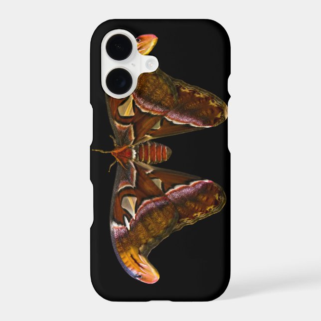 Atlas Moth - Snake Head (Back)