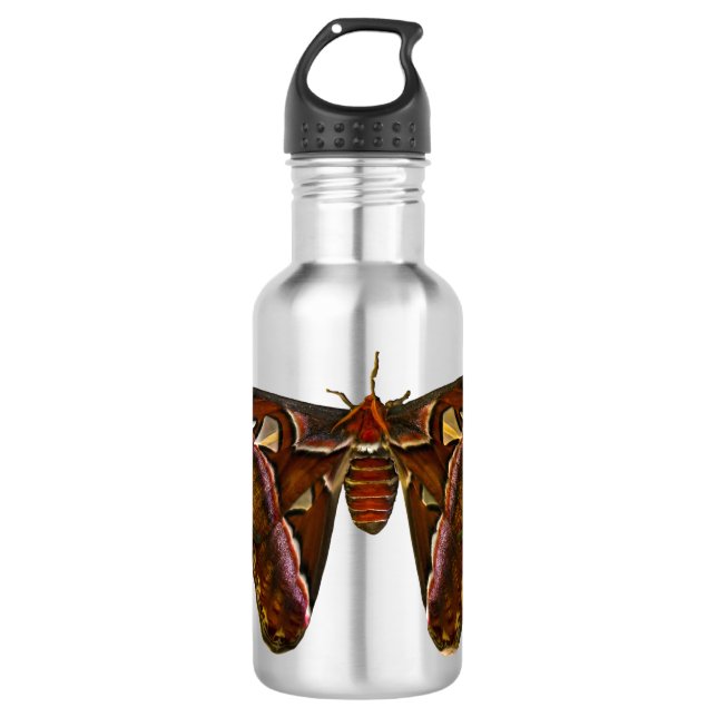 Atlas Moth - Snake Head 532 Ml Water Bottle (Front)