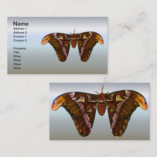 Atlas Moth - Snake Head Business Card (Front/Back)