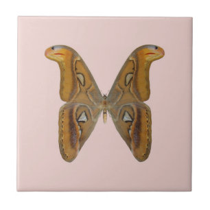 Atlas Moth Tile