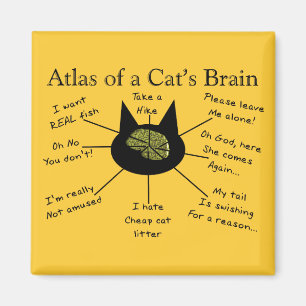 Atlas Of a Cat's Brain Magnet