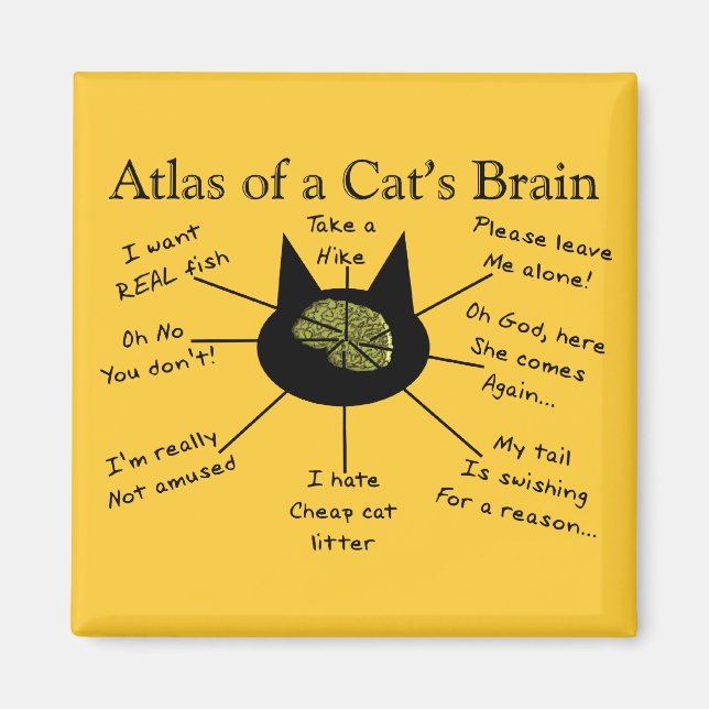 Atlas Of a Cat's Brain Magnet (Front)