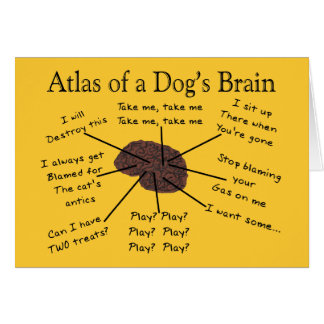 Atlas of a Dog's Brain