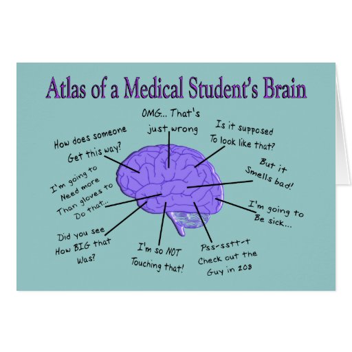 Image of Atlas of a Medical Student's Brain #2