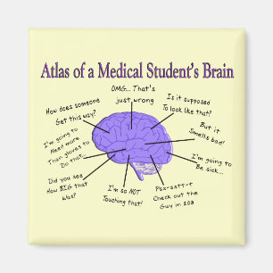 Atlas of a Medical Student's Brain #2 Magnet