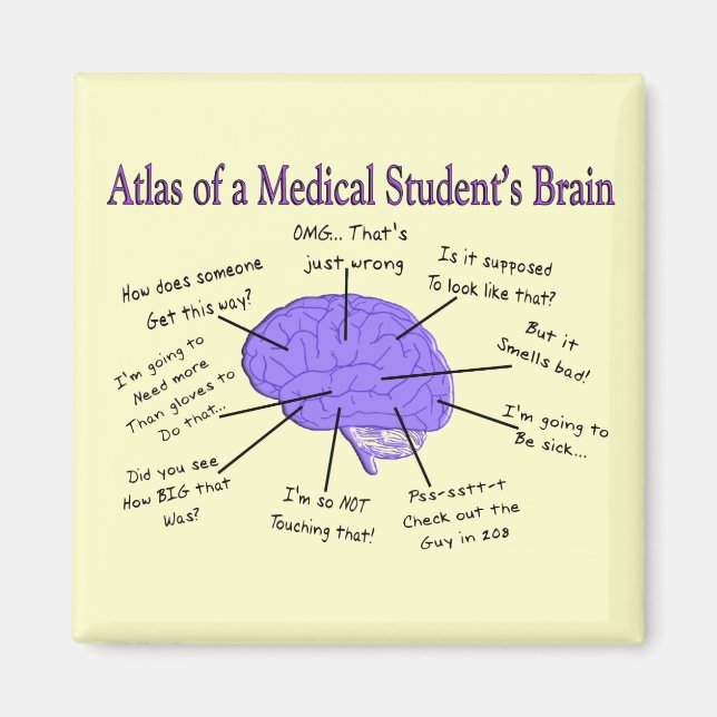 Atlas of a Medical Student's Brain #2 Magnet (Front)