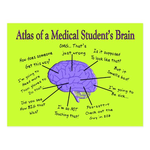 Image of Atlas of a Medical Student's Brain #2 Postcard