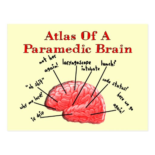 Image of Atlas of a Paramedic Brain Postcard