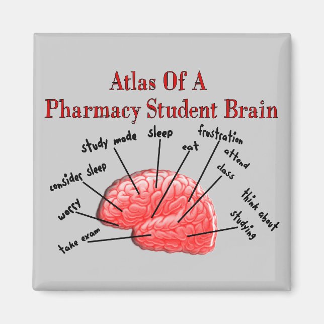 Atlas of a Pharmacy Student Brain Magnet (Front)