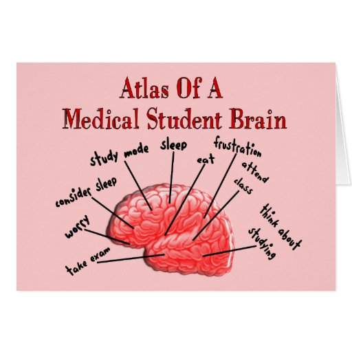 Image of Atlas of Medical Student Brain