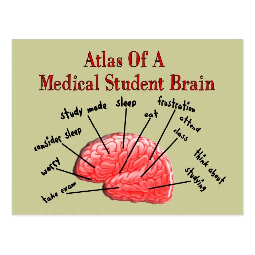 Image of Atlas of Medical Student Brain Postcard