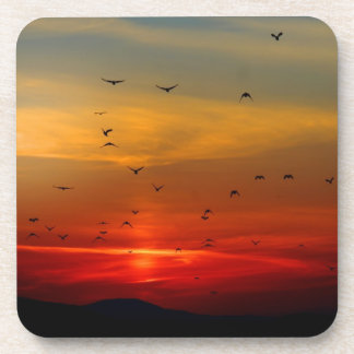 Atmospheric Sky, sunset, birds, beautiful photo Coaster