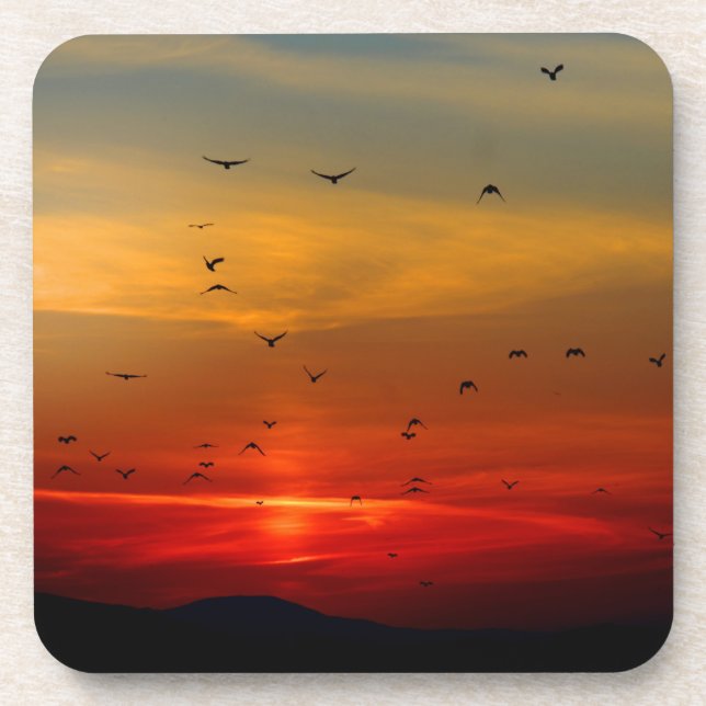 Atmospheric Sky, sunset, birds, beautiful photo Coaster (Front)