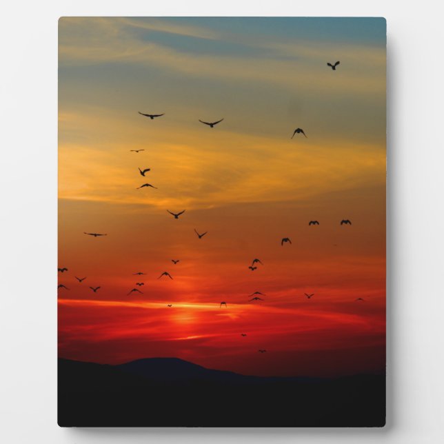 Atmospheric Sky, sunset, birds, beautiful photo Plaque (Front)