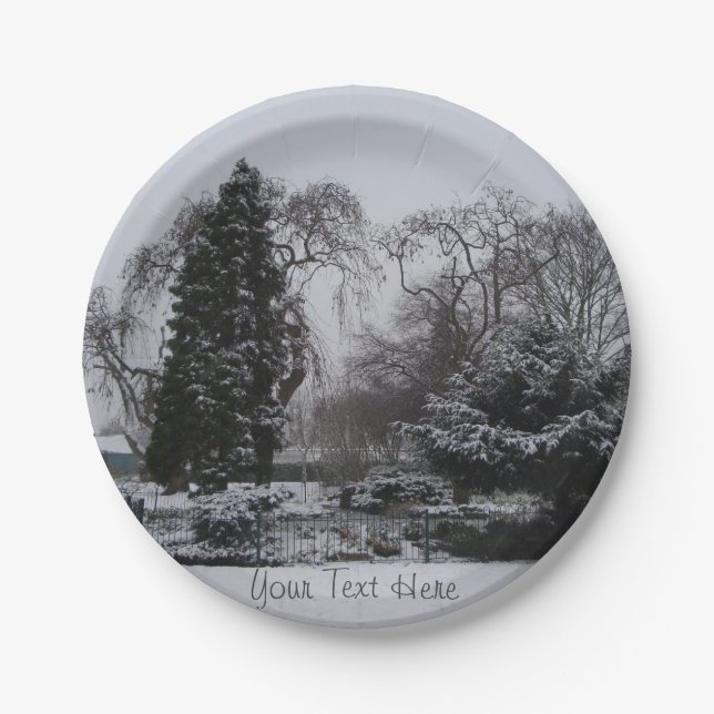atmospheric snow scene landscape at christmas paper plate (Front)