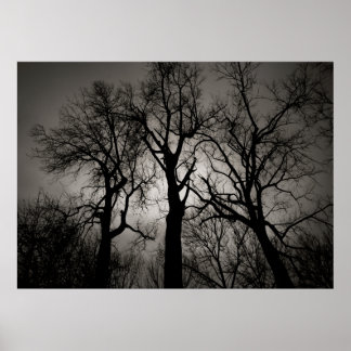 Atomic Cerebellum : Lake Front in Winter Poster