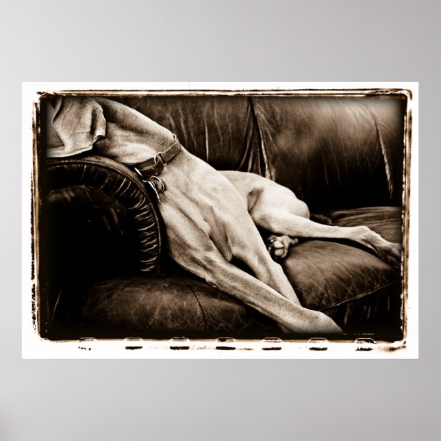 Atomic Cerebellum : Taking Over The Couch Poster (Front)