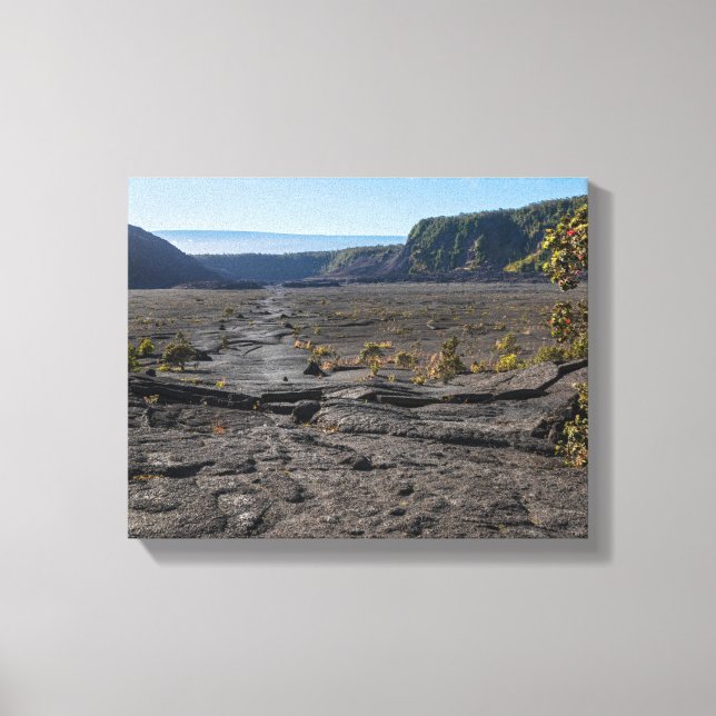 atop dry lava bed of kilauea iki crater canvas print (Front)